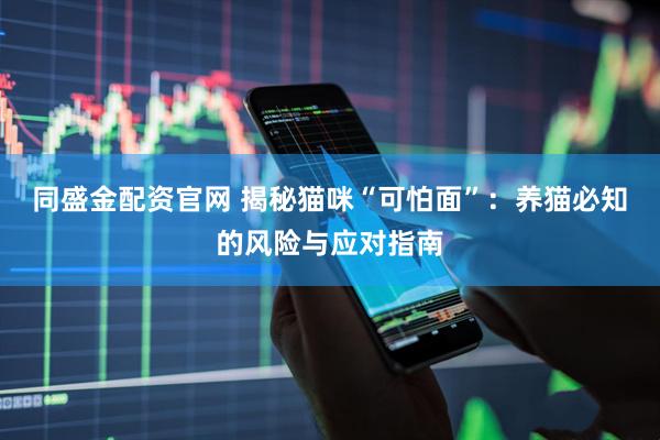 同盛金配资官网 揭秘猫咪“可怕面”：养猫必知的风险与应对指南