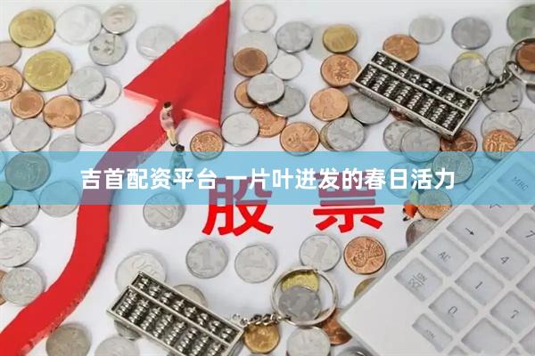吉首配资平台 一片叶迸发的春日活力