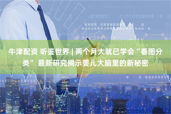 牛津配资 听鉴世界 | 两个月大就已学会“看图分类” 最新研究揭示婴儿大脑里的新秘密